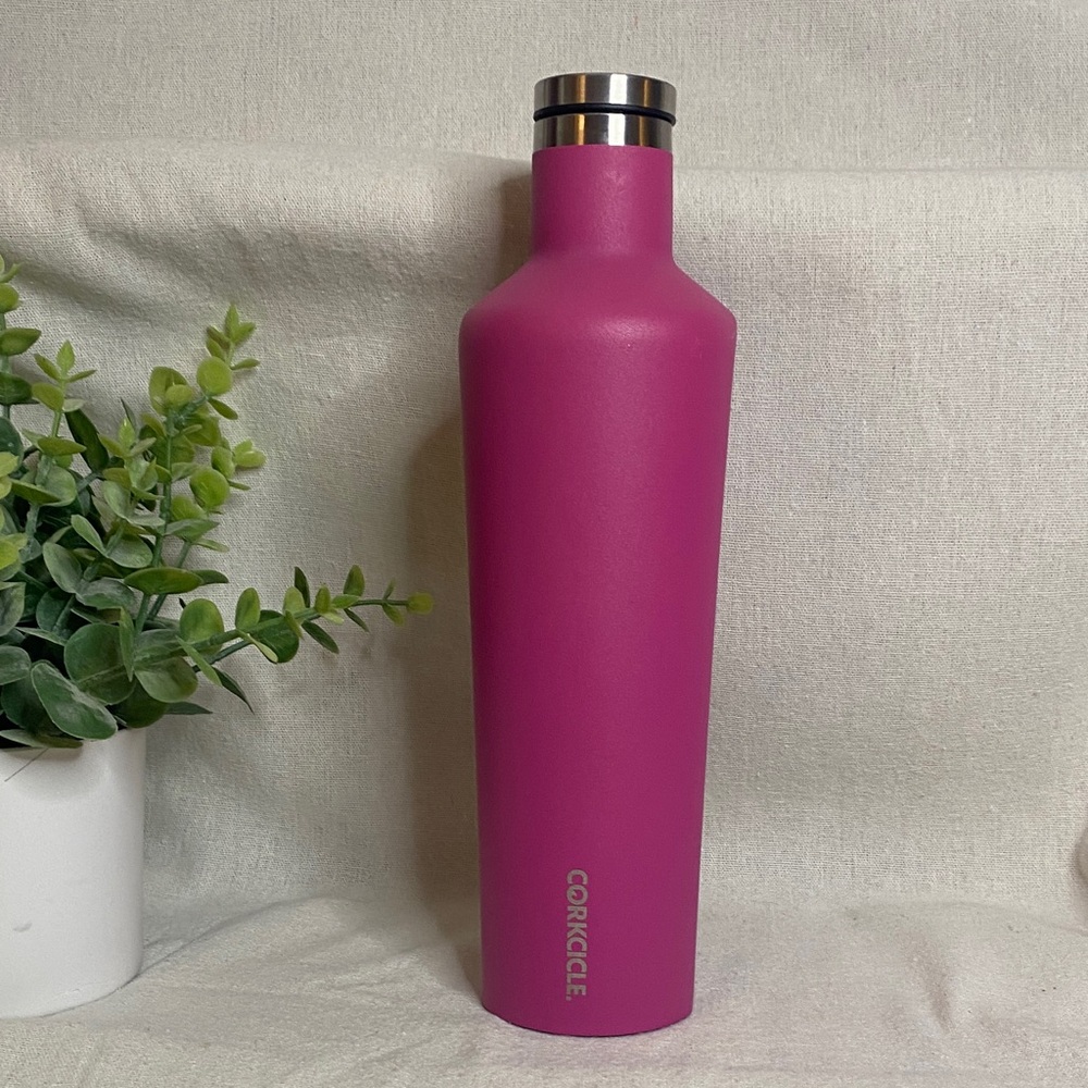 Corkcicle Insulated Thermos Bottle, Pink, 25 ounces